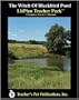 The Witch of Blackbird Pond : A Unit Plan (Litplans on CD)