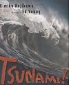 Tsunami!