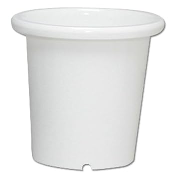 【クリックで詳細表示】Amazon ｜ アイリスオーヤマ 鉢 SE ケンガイ鉢 12号 ホワイト ｜ DIY・工具