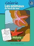 Colorie les animaux des bords de mer