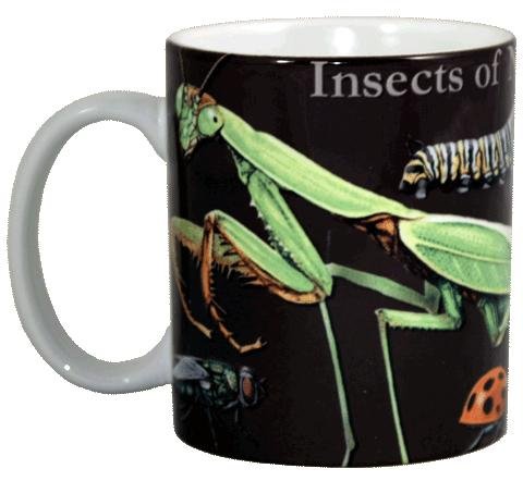 Insects of North America 11 Oz. Ceramic Coffee Mug Tea Cup