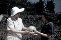 Victory Gardens DVD (1944) WWII Gardening Tips