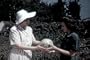 Victory Gardens DVD (1944) WWII Gardening Tips