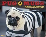Pug Mugs 2013 Wall Calendar