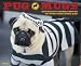 Pug Mugs