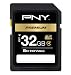 PNY  32 GB Class 4 SDHC Flash Memory Card P-SDHC32G4-EF