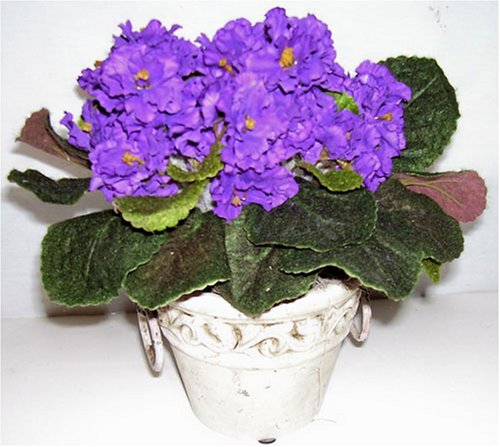 Birthmonth flower