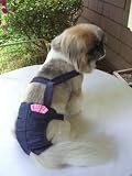 Joybies Durable Denim Piddle Pants(tm) for Medium Female Dog (Measuring 15-17 From Collar to Base of Tail)