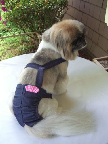 Joybies Durable Denim Piddle Pants(tm) for Small Female Dog (Measuring 13-15 from Collar to Base of Tail)