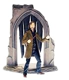 Eigenschaften Cards Inc. / Harry Potter - Der Orden des Phoenix - Sirius Black Deluxe 12cm Actionfiguren