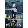 Dark Slayer (Dark Carpathian Series)