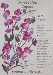 Sweet Pea Cupani Heirloom Seeds 35 Seeds