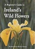 A beginner's guide to Ireland's wild flowers