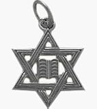 10 Karat White Gold Star of David Jewish Pendant