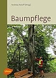 Image de Baumpflege