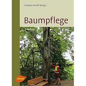 Baumpflege