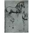 Leonardo da Vinci (Horse trials) Art Poster Print - 13x19
