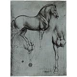 Leonardo da Vinci (Horse trials) Art Poster Print - 13x19