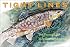 Tight Lines: Ten Years of the Yale Anglers' Journal