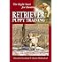 Retriever Puppy Training: The Right Start for Hunting
