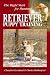 Retriever Puppy Training: The Right Start for Hunting