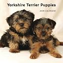 Yorkshire Terrier Puppies 2009 Mini Calendar