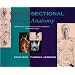 Cross-Sectional Human Anatomy