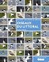 Oiseaux du littoral : Un guide + un carnet de terrain