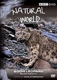 Natural World - Snow Leopard