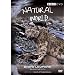 Natural World - Snow Leopard [DVD]