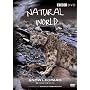 Natural World - Snow Leopard [DVD]