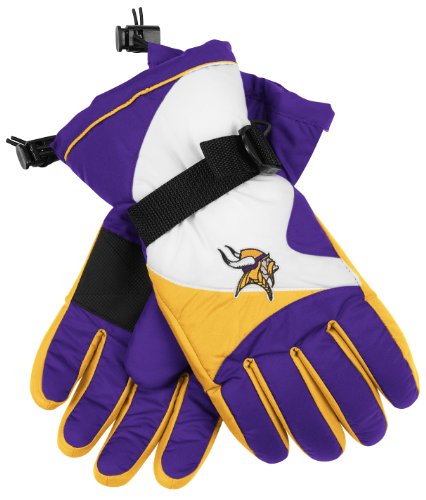 Minnesota Vikings Team Colors Nylon Ski Gloves, Medium