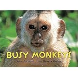 busy monkeys a busy book