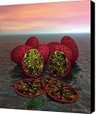 Martian Produce Canvas Print - Canvas Art