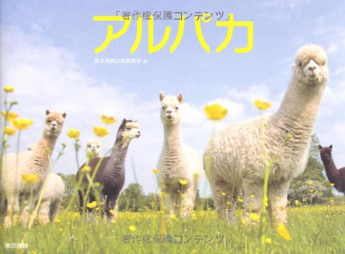 ����ѥ� ALPACA