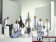 Grey's Anatomy - The Complete Fifth Season