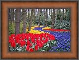 Review ArtToFrames  / 10x13 / 10 x 13 Picture Frame Walnut .. 2'' wide