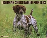 German Shorthaired Pointers 2013 Wall Calendar