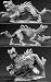 Cerberus Hound of Hell Dark Heaven Legends Miniature by Reaper Miniatures