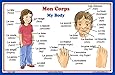 French Language School Poster: French Words About Parts of the Body with English Translation - Classroom Chart