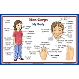 French Language School Poster: French Words About Parts of the Body with English Translation - Classroom Chart