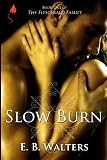 Slow Burn (The Fitzgerald Family series)