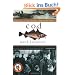 Cod: A Biography of the Fish that Changed the World