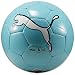 Search : Puma Big Cat II Soccer Ball