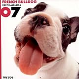 French Bulldog 2007 Calendar (Artlist Collection: The Dog)