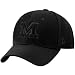 Zephyr Michigan Wolverines Black DH Basic Logo Fitted Hat