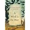 Children's time travel books