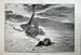 1899 Sea Coastguardsman Rescue Breeches Buoy Fine Art