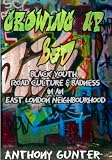 Growing up bad? : black youth, 'road' culture and badness in an East London neighbourhood
