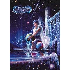 Yanoman - 500 Teile fluoreszierend - Kagaya Puzzle : Sternzeichen Wassermann